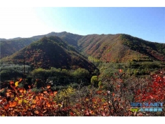 河南灵宝寺河山苹果主题公园