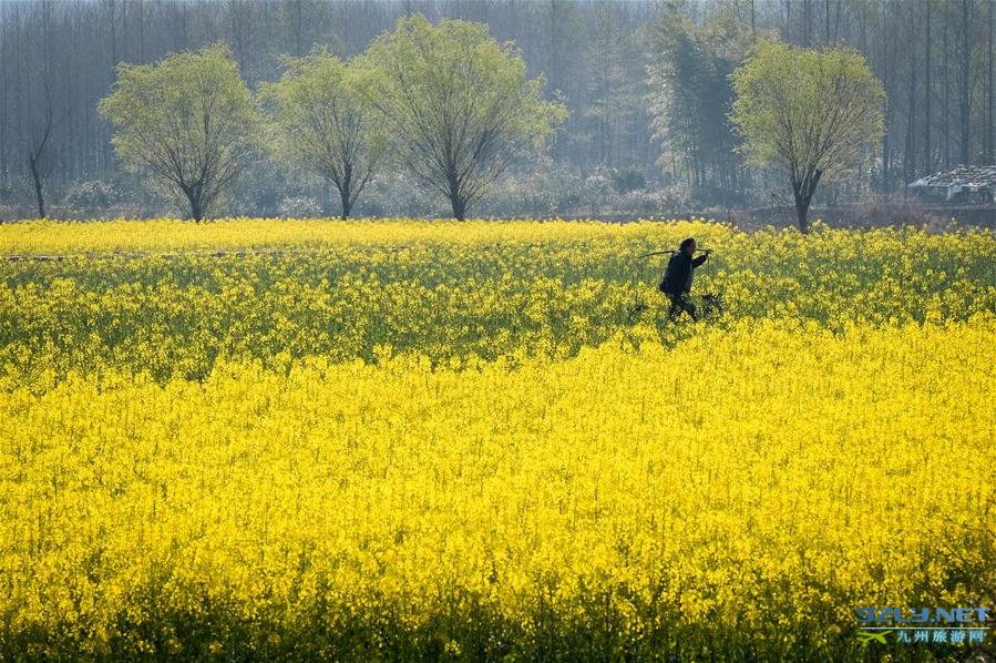 安徽黄山黟县卢村景色宜人