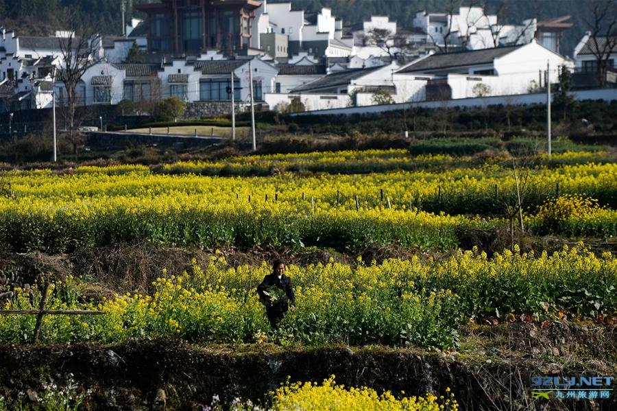 安徽黄山黟县卢村景色宜人