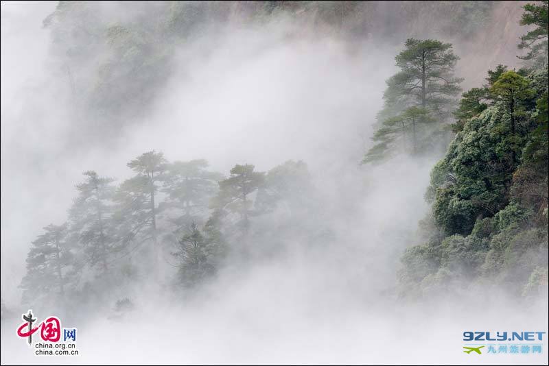 游客惊叹雨后黄山云海缥缈