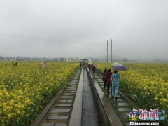 湖南春季乡村旅游引爆田园花海观光