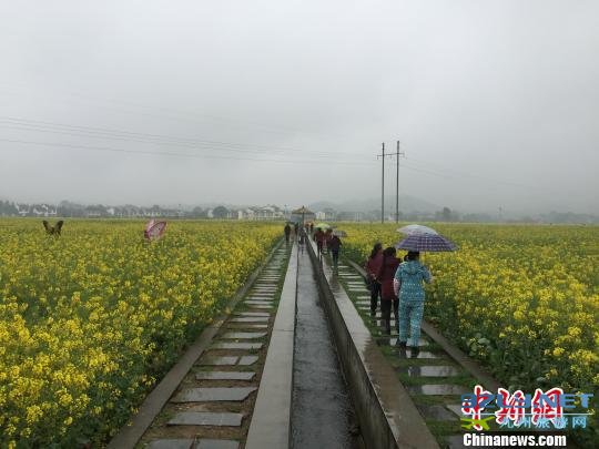 湖南春季乡村旅游节开幕引爆田园花海观光游