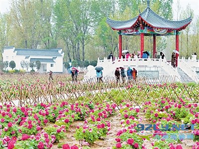 \行走南阳”首站走进方城 牡丹园里赏国色 德云山下醉天香