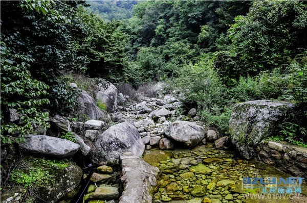 探访水源地——伏牛山天然矿泉水“润之泉”