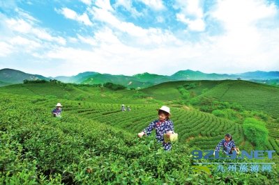 河南信阳,全域旅游,生态发展