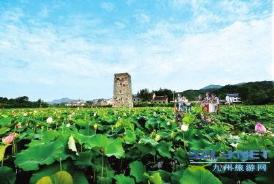 河南信阳,全域旅游,生态发展