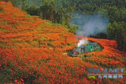 四川乐山 开放走向世界