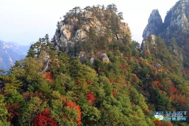 河南西峡：老界岭 看那秋天的色彩