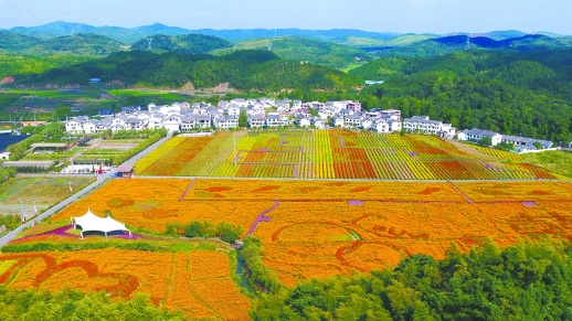 湖南：郴州市北湖区三合村 能人回村造景区