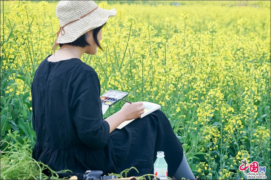 云南腾冲：高黎贡花海节油菜花独美