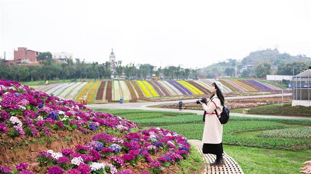 重庆渝北：百花争妍春光好，赏花踏青正当时