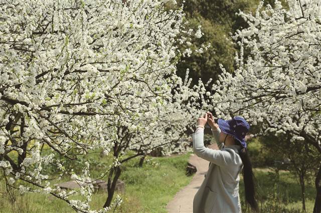 重庆荣昌：全力打造渝西川东休闲度假旅游目的地