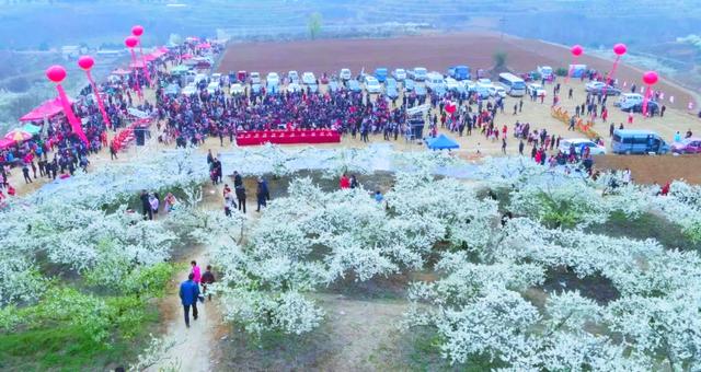 中国·西峡（田关孙沟）第九届李花节盛大开幕