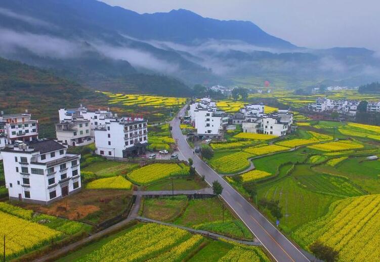 江西婺源：“中国最美乡村”油菜花盛开