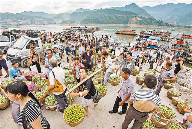 【重庆】首届中国农民丰收节“金镜头”摄影大赛圆满落幕