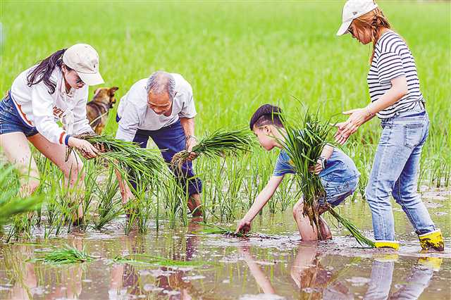 【重庆】首届中国农民丰收节“金镜头”摄影大赛圆满落幕