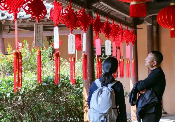 【浙江】绍兴：昨夜雨疏风骤，沈园梅花绽放依旧