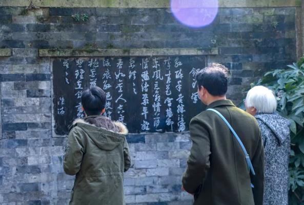 【浙江】绍兴：昨夜雨疏风骤，沈园梅花绽放依旧