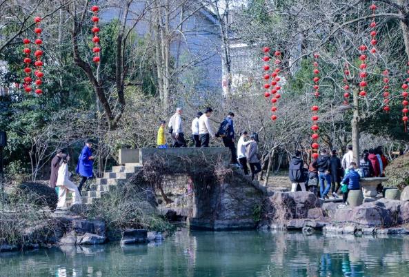 【浙江】绍兴：昨夜雨疏风骤，沈园梅花绽放依旧